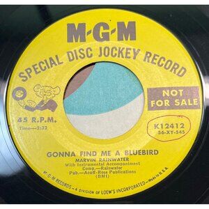 Marvin Rainwater Gonna Find Me a Bluebird 45 Vinyl Country Hillbilly MGM Promo